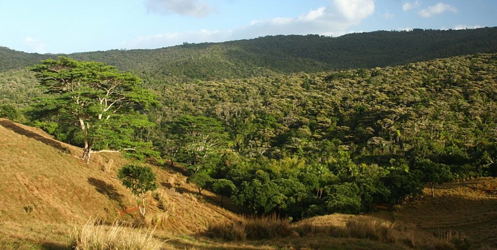 Réserve Naturelle de Frederica