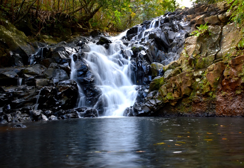 Waterfall in Bel Ombre Nature Reserve