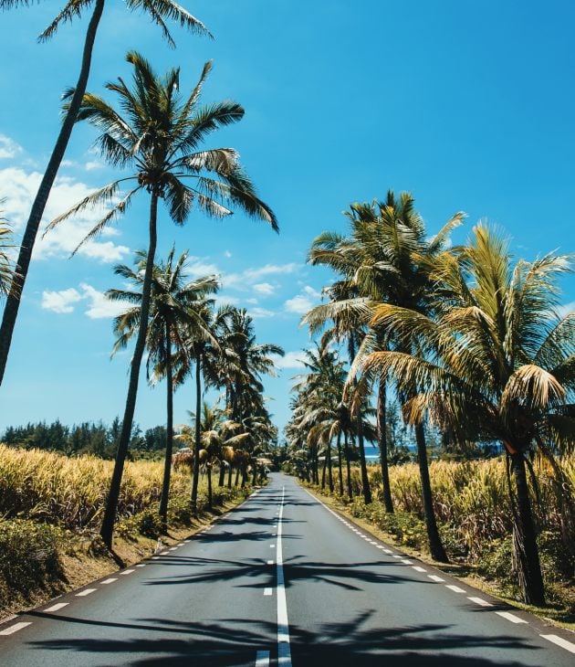 Cycle around Bel Ombre Road South Mauritius