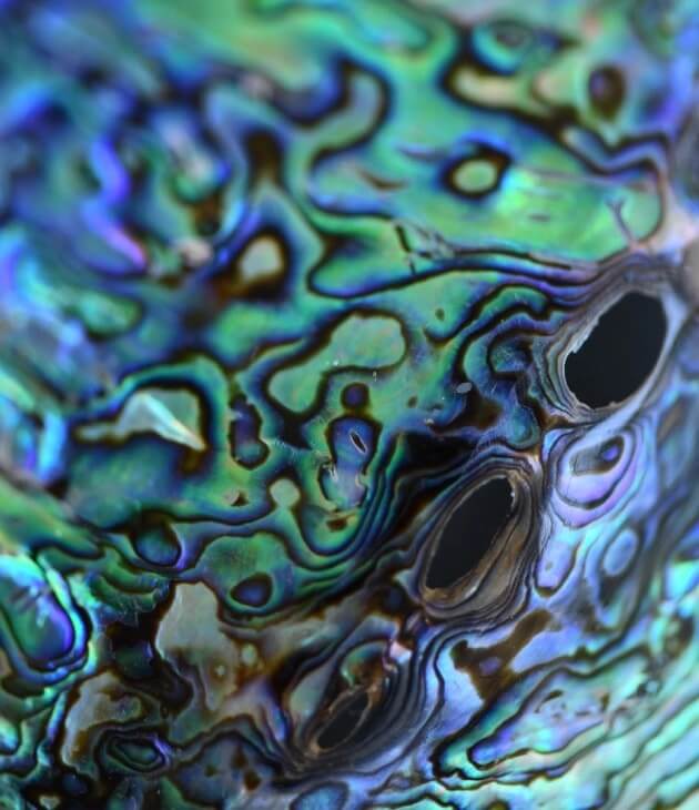 An infinite discovery 1
