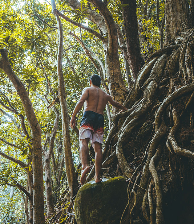 Forest Bathing