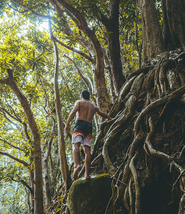 Man adventuring in nature