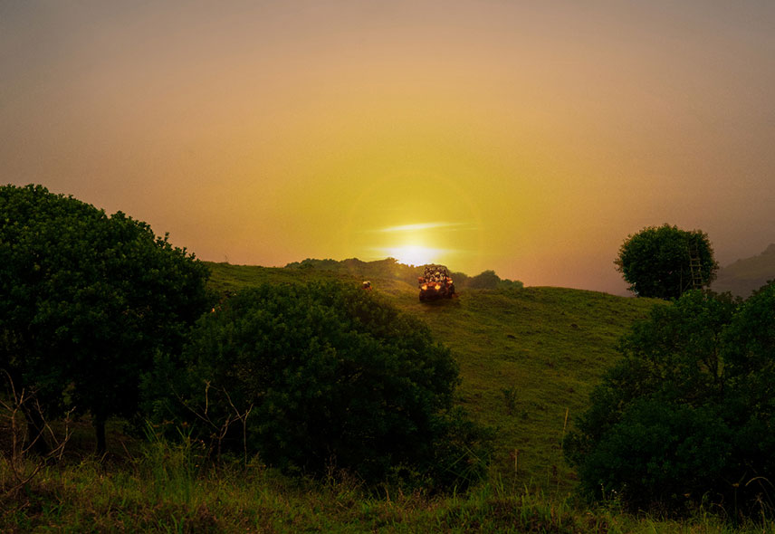 Safari au coucher du soleil, Bel Ombre Nature Reserve Ile Maurice