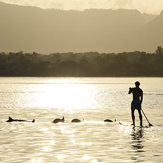 Possibility of a lucky encounter with dolphins