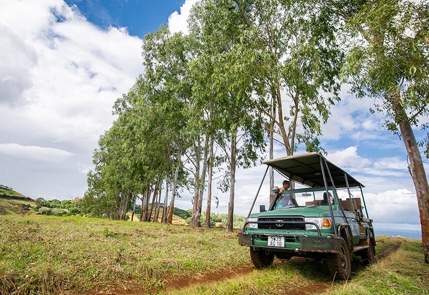 Safari Bel Ombre Nature Reserve