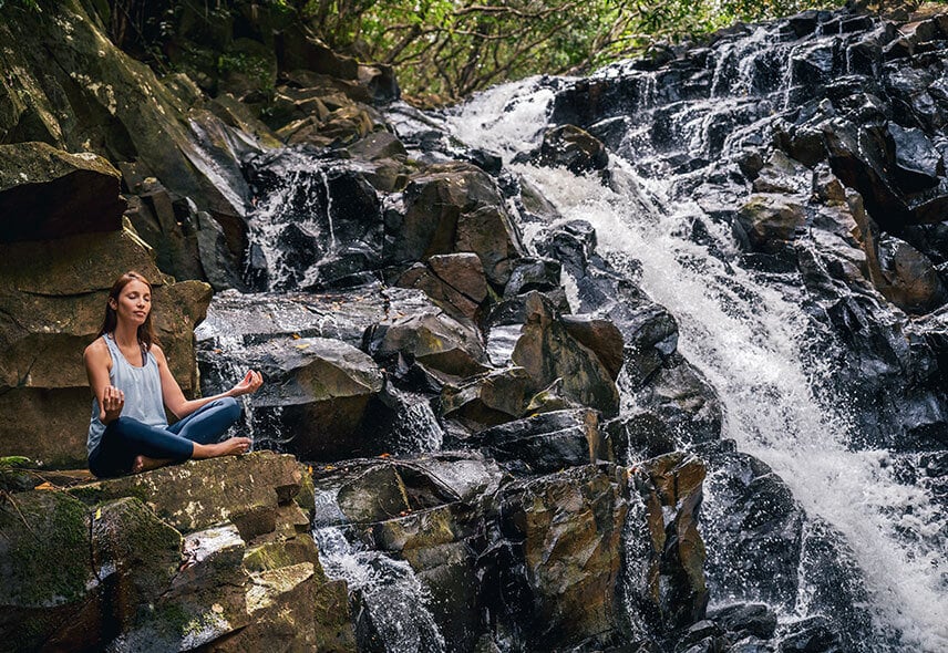 Wellness Experience in nature Waterwall Mauritius - Heritage Le Telfair