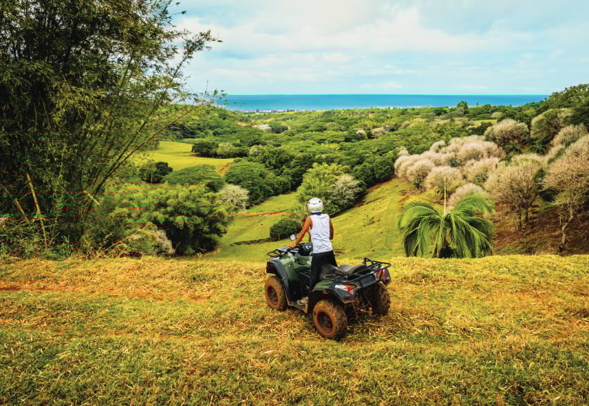 Activitees en quad - Heritage the villas