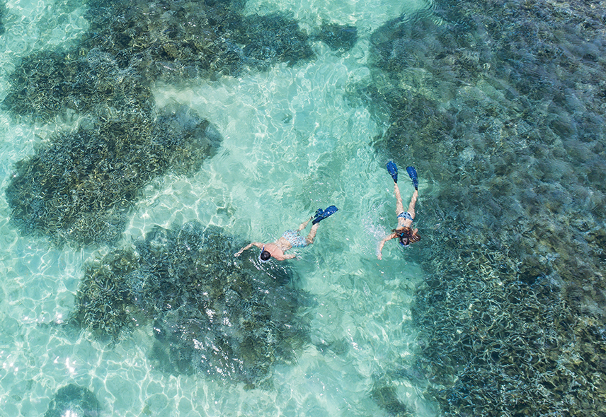 Snorkeling in Mauritius