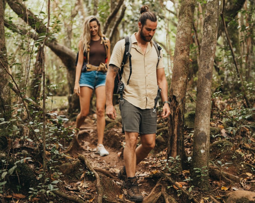 A couple strolling the shaded trails of Bras d'Eau National Park, surrounded by beautiful lush trees and the sounds of nature.