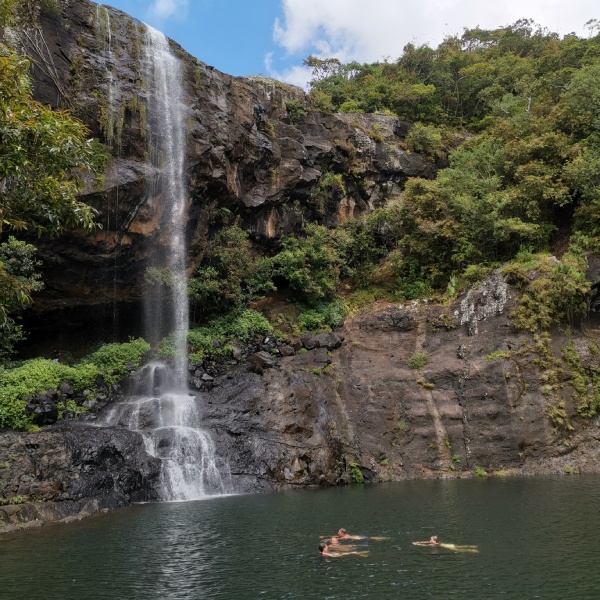 A serene view of Tamarind Waterfall surrounded by lush vegetation - hiking in Mauritius