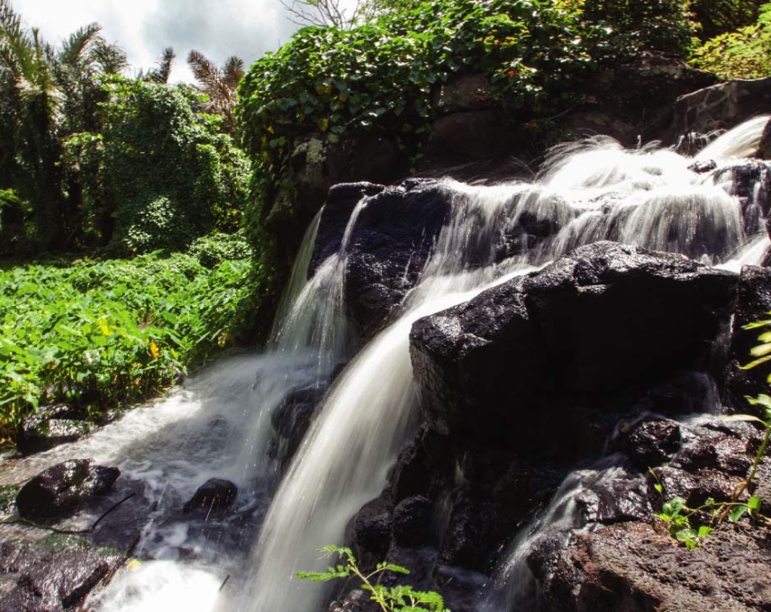 A captivating view of Grand River South East Waterfall nestled in a tropical rainforest.