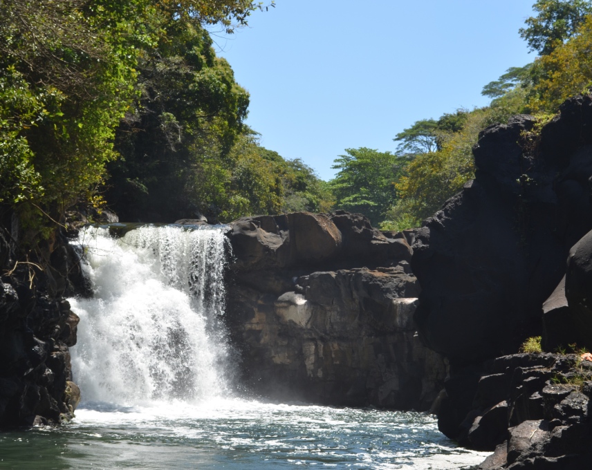 A captivating view of Grand River South East Waterfall nestled in a tropical rainforest.