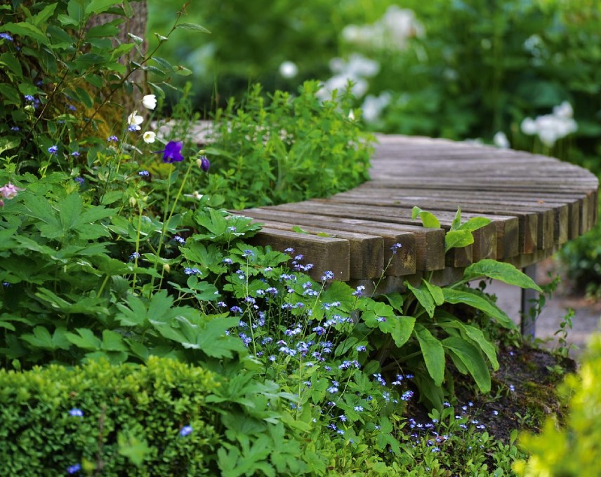 A sunny garden with various flowers in bright colours, surrounded by lush greenery and a small bench for resting
