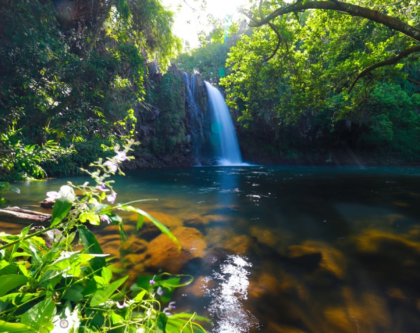 Visitors are captivated by the refreshing mist from Minissy Waterfalls, in Mauritius