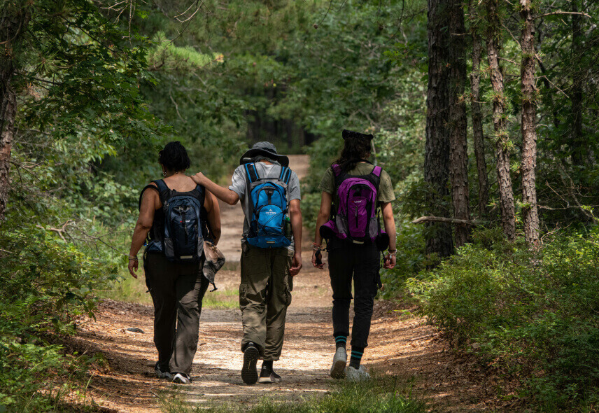 Hikers trekking through the Bambous Range mountains