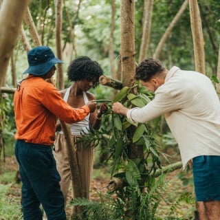Visitors enjoying a Coffee Plantation Tour, guided by an expert