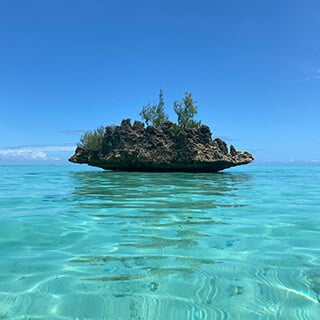 Ile aux Benitiers Mauritius