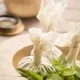Wellness bliss package