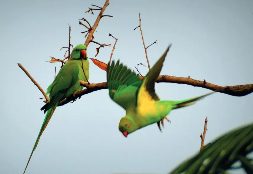 Cementing the relationship between man and their environment