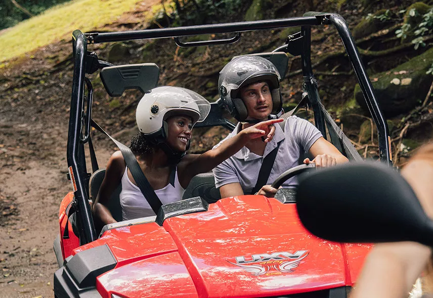 Buggy in Mauritius
