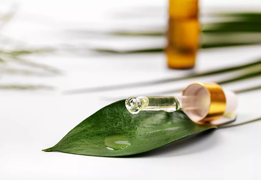 Massage Oil on a green leave