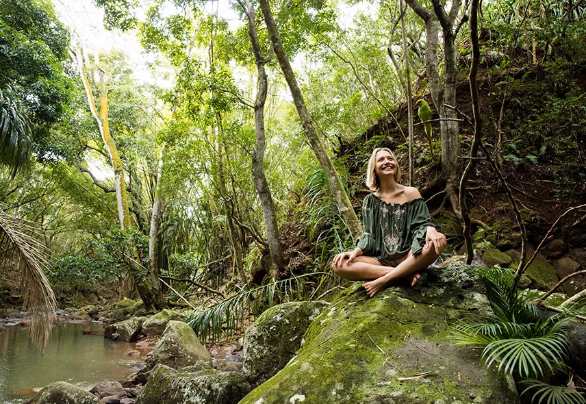 Nature Connection Wild South Mauritius