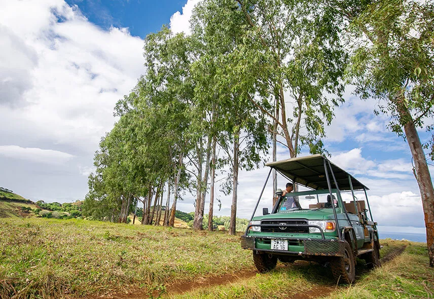 Safari trip experience in Mauritius