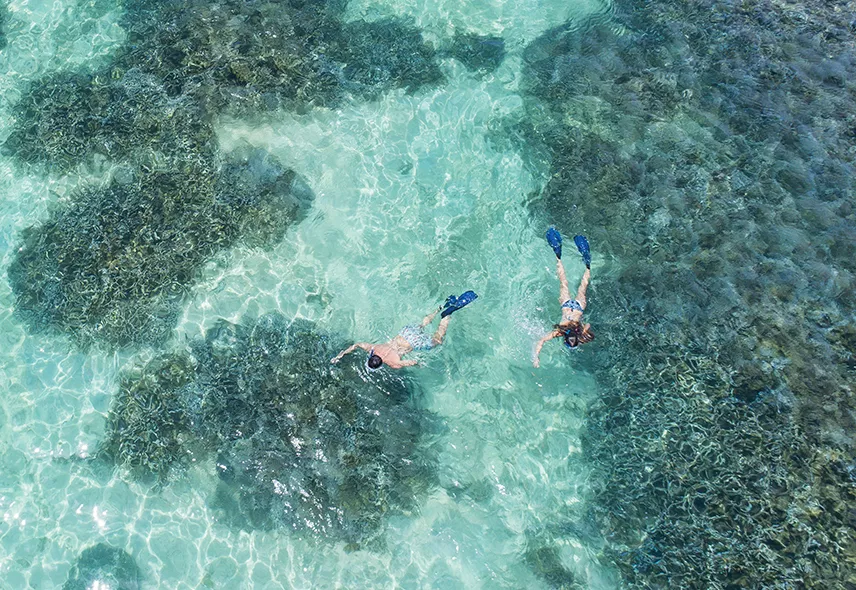 Snorkeling in Mauritius