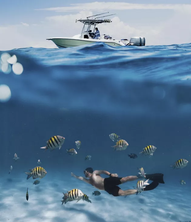 Best time to dive in Mauritius