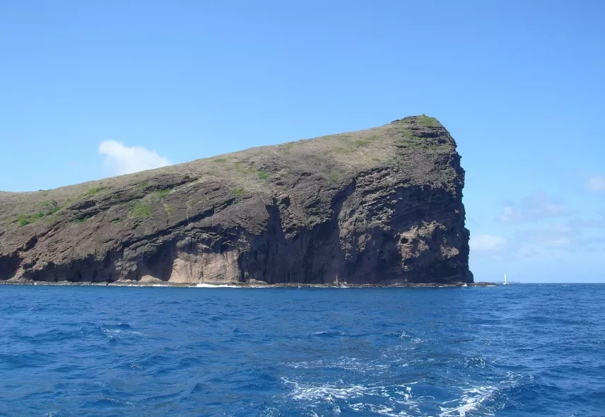 Coin de mire