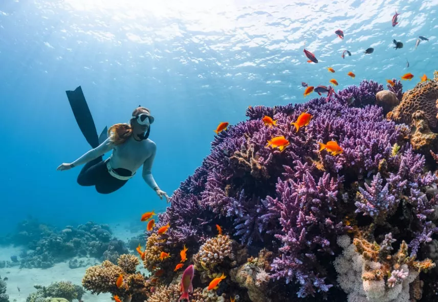 Diving near colorado in Mauritius