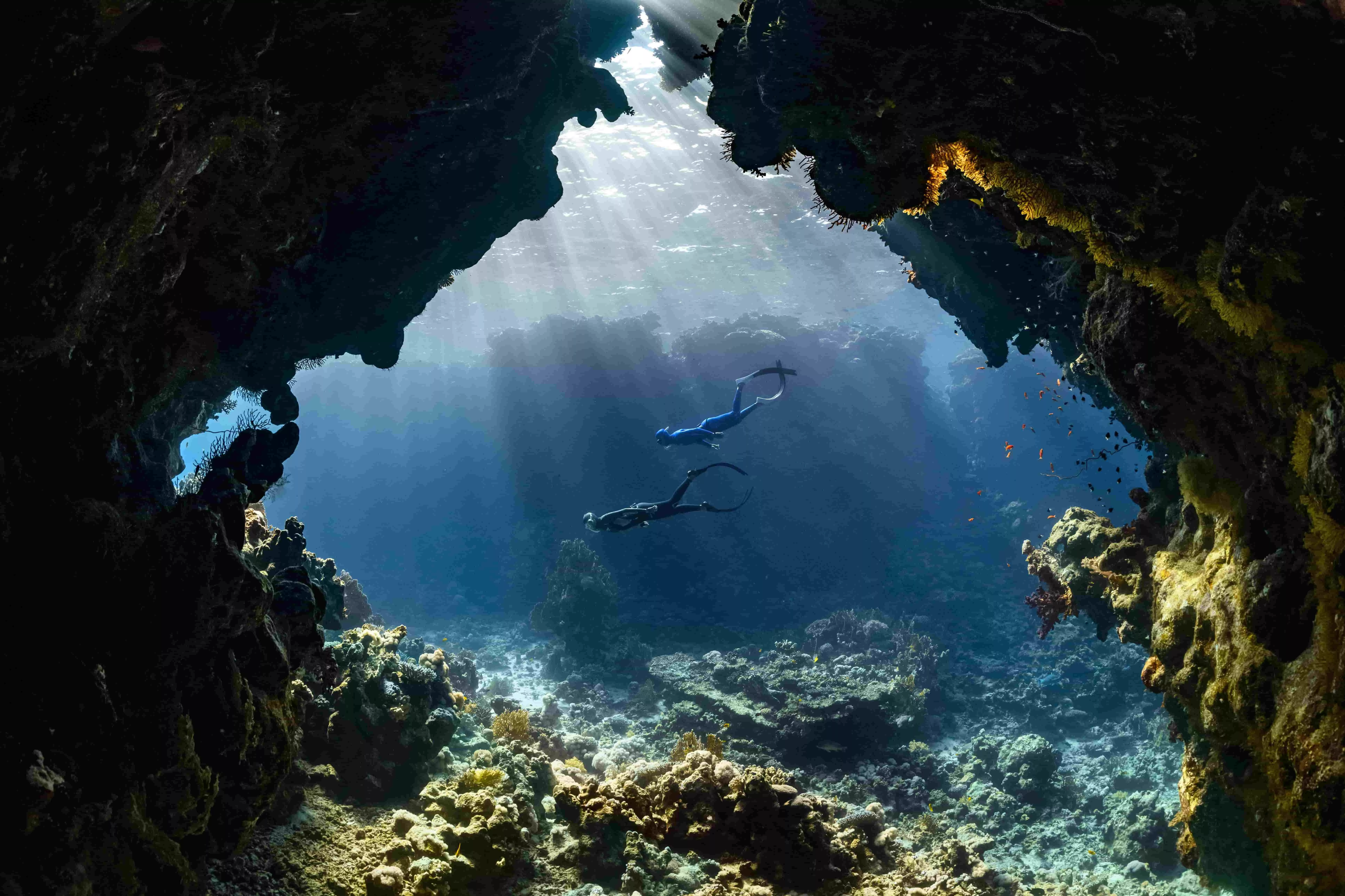 Diving at la cathedral at flic-en-flac in Mauritius