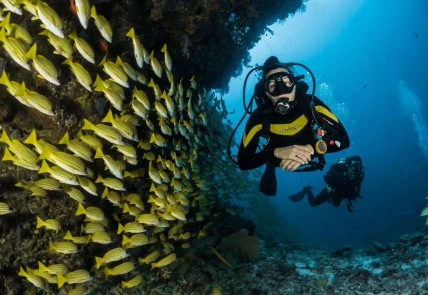 Diving near roche zozo in Mauritius