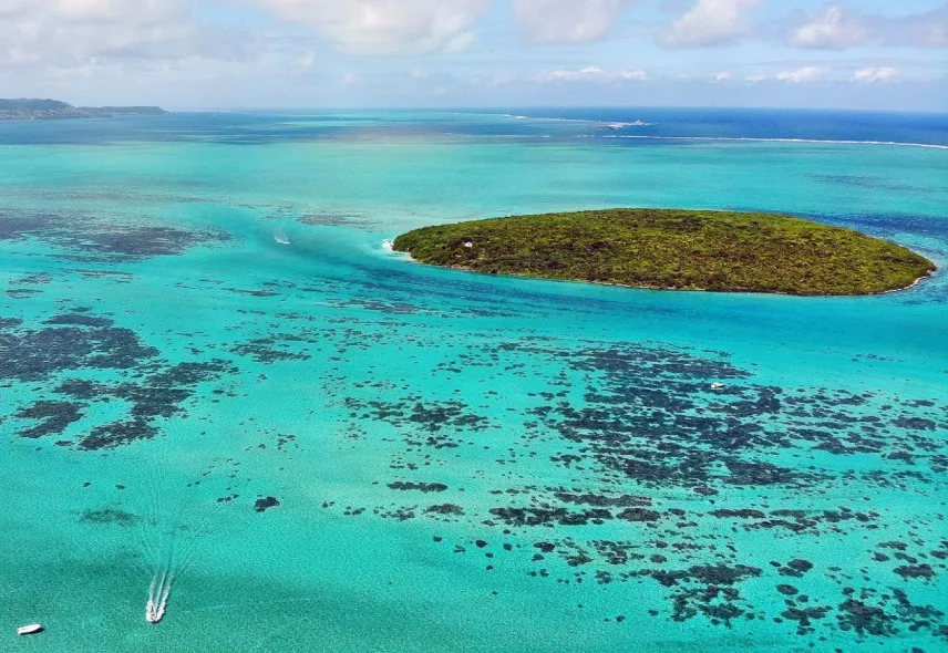 Ile aux aigrettes