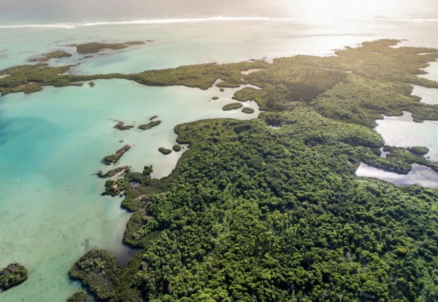 Ile d'ambre