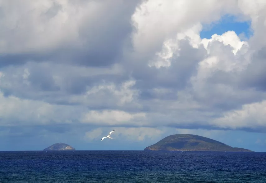 Round island