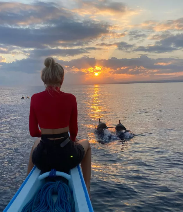 dolphin watching at dawn in mauritius