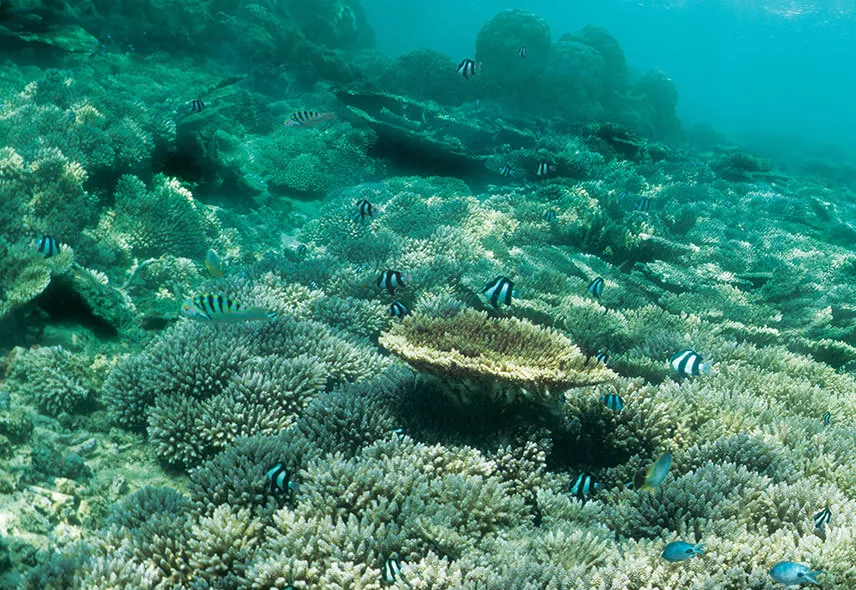 Sustainable Commitment at Heritage Resorts