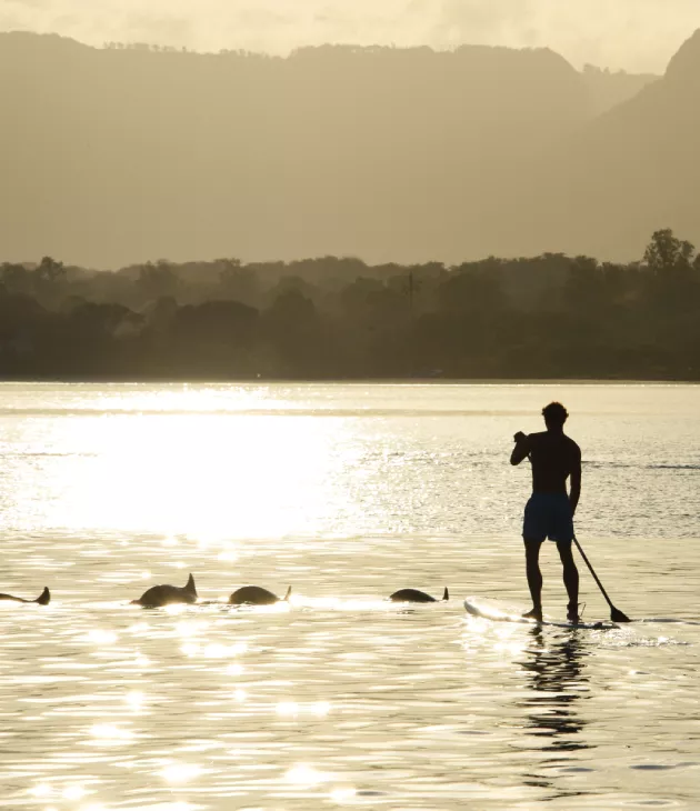 stand up paddling among dolphins in mauritius