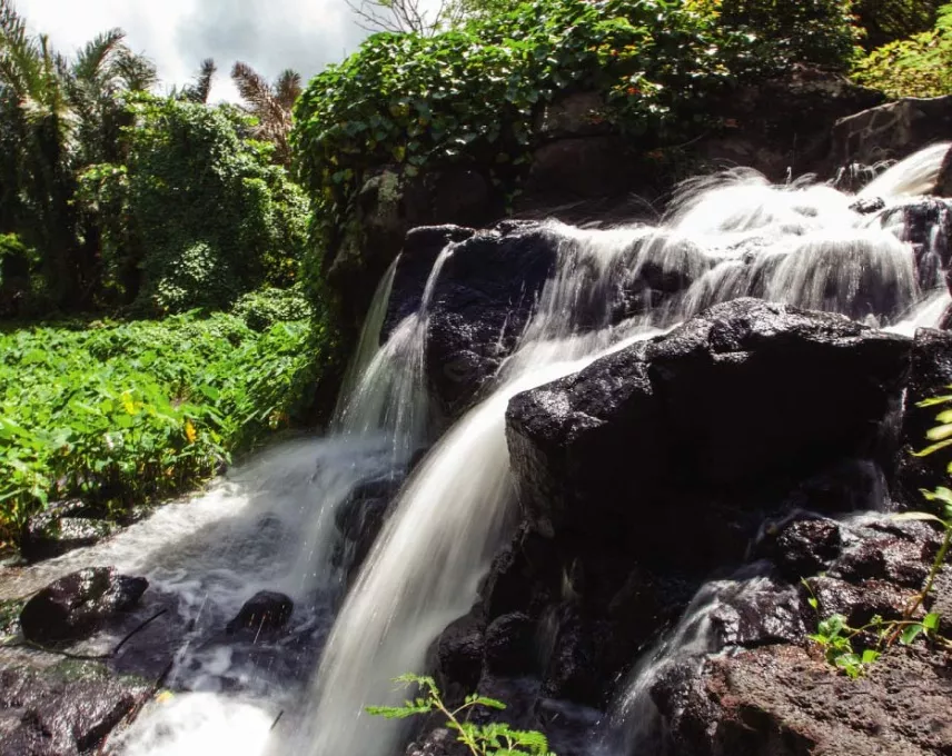 A captivating view of Grand River South East Waterfall nestled in a tropical rainforest.