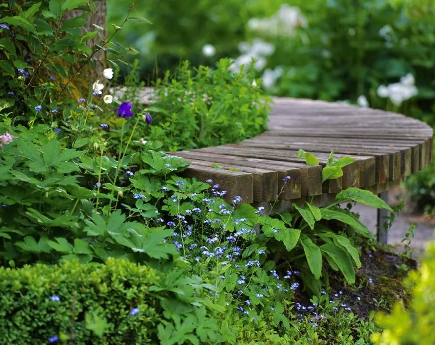A sunny garden with various flowers in bright colours, surrounded by lush greenery and a small bench for resting