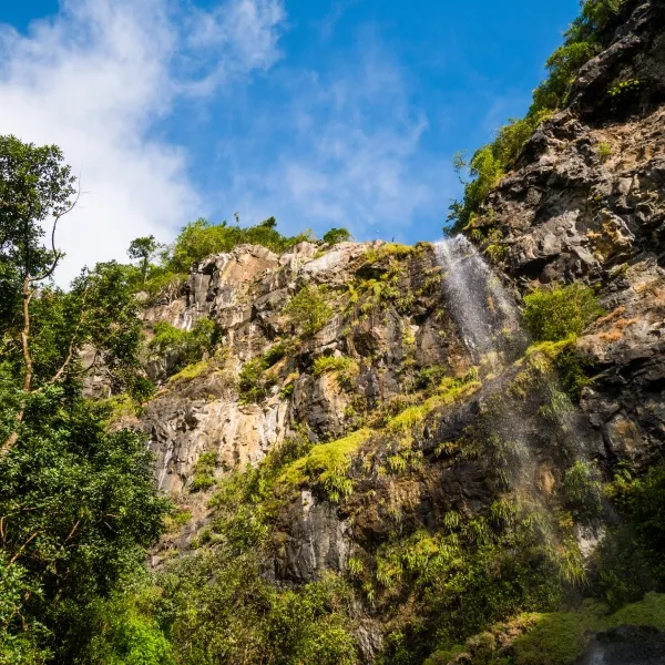 The stunning Mare aux Joncs Waterfalls creating a serene ambiance in Mauritius.