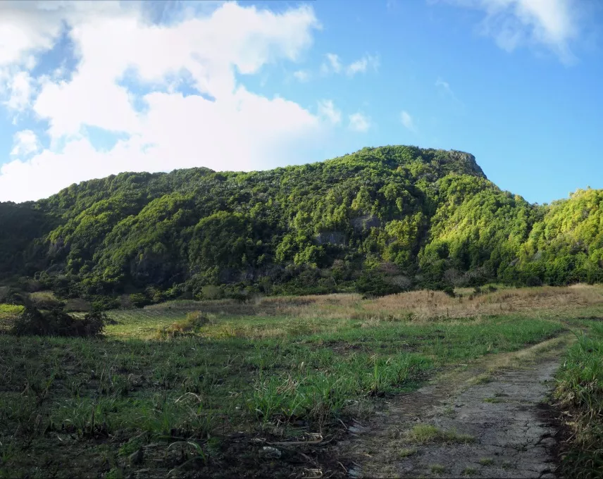 Lion Mountain boasts a stunning backdrop of indigenous vegetation and breathtaking vistas in southeast Mauritius