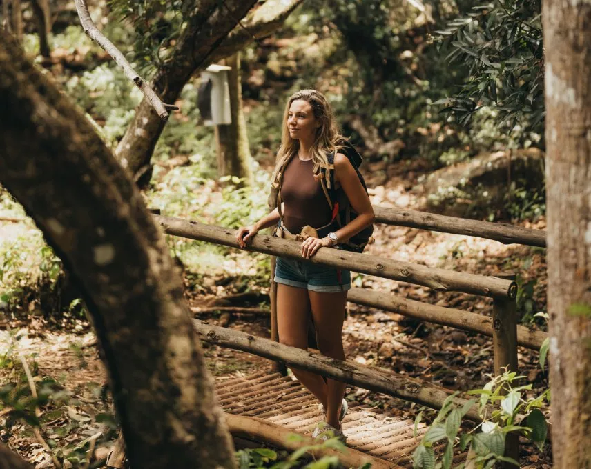 Sophie Nature Walk - An incredible view that highlights the beauty of nature, ideal for a relaxing day out with the family.