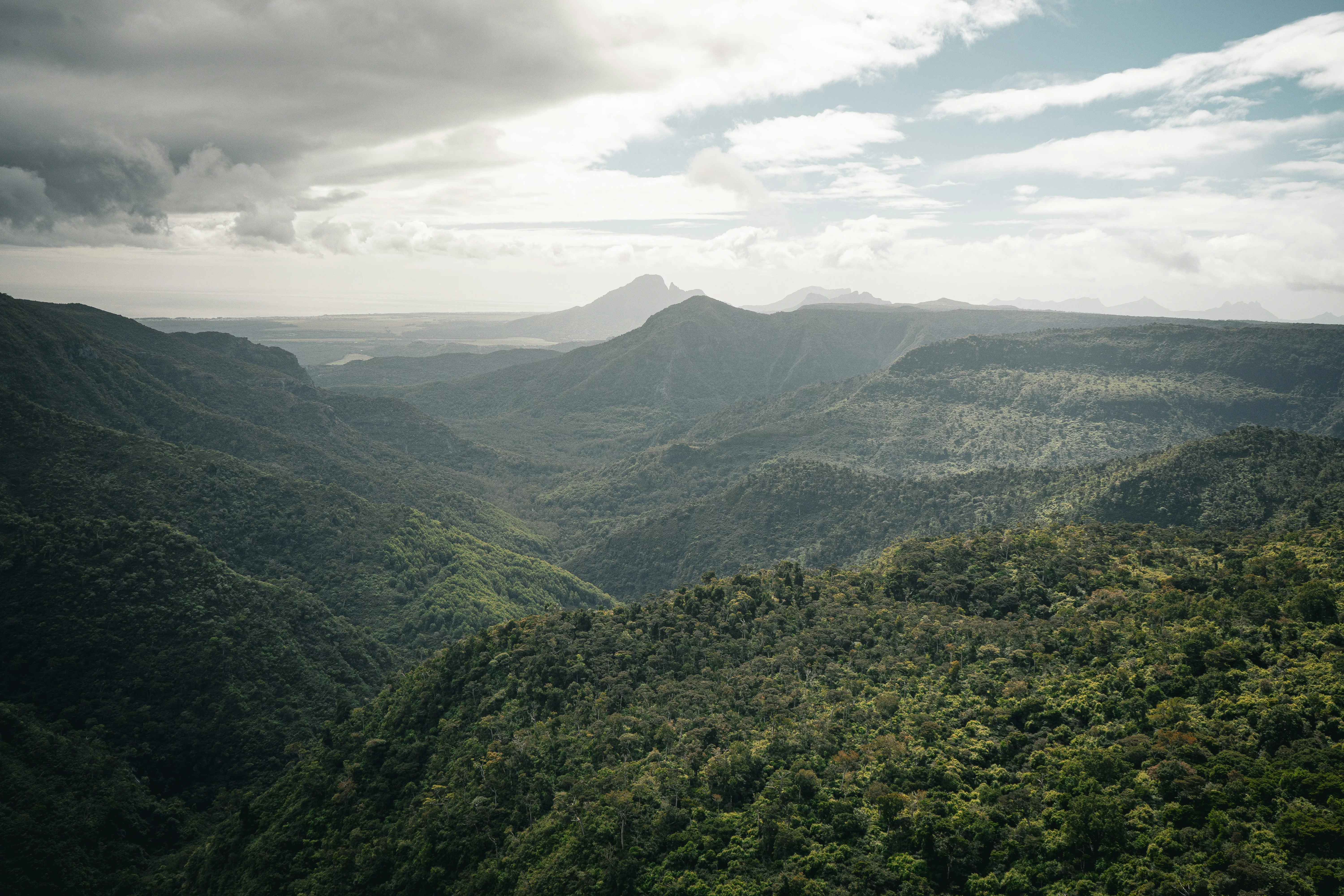 Panoramic view over the lush Black River Gorges National Park in Mauritius