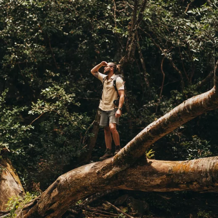 Exploring Bel Ombre Nature Reserve in Mauritius