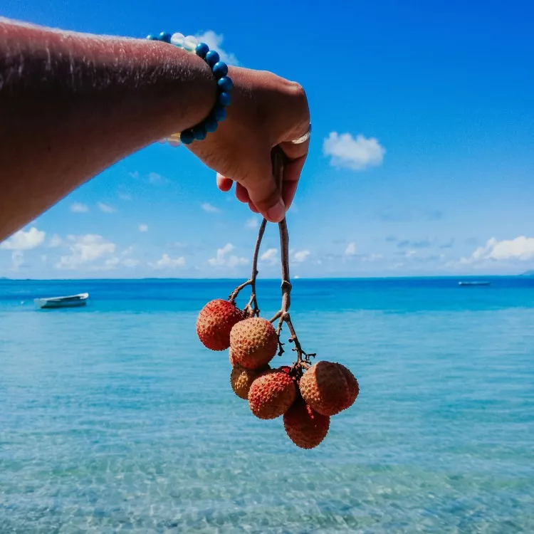 Man holding fresh lychees in Mauritius on a beach