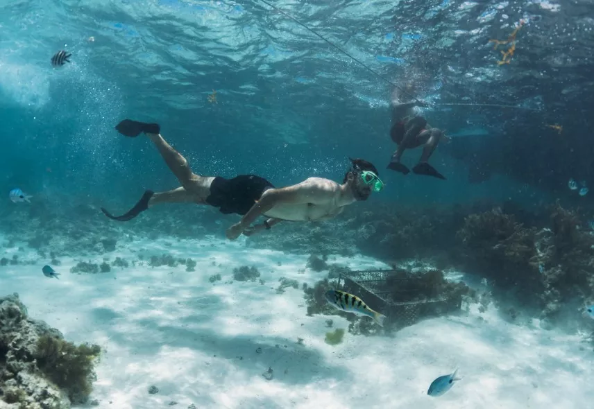 Man snorkeling in the clear waters of Mauritius