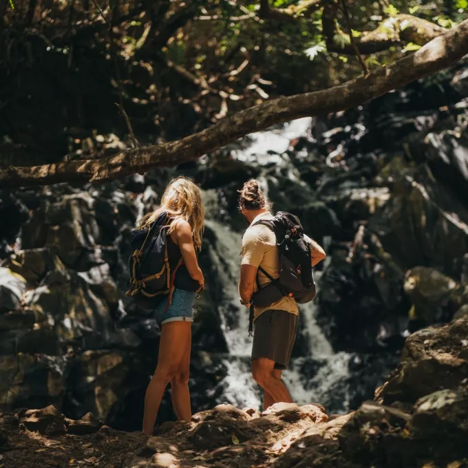 nature trail at bel ombre nature reserve mauritius