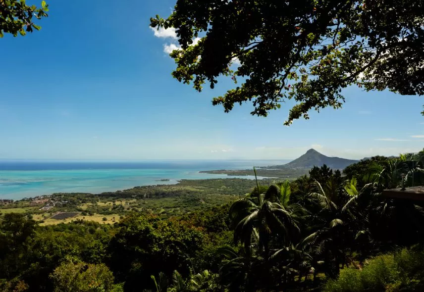 vue panoramique montagnes et mer depuis les hauteurs de maurice